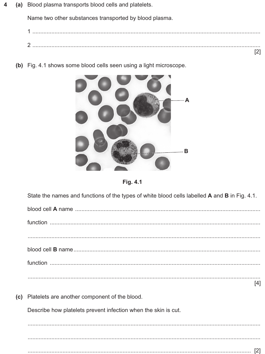 IGCSE 0654 Mar 2025 Paper 42 Question 4 — Blood