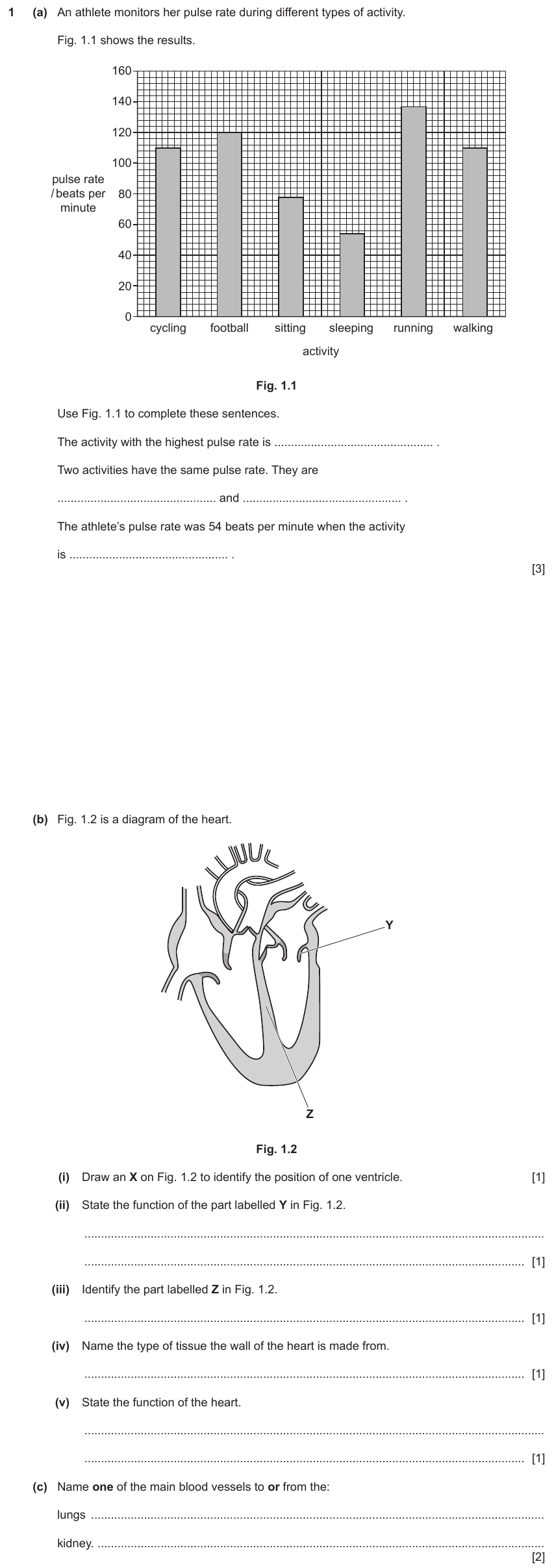 IGCSE 0654 Jun 2022 Paper 31 Question 1 — Blood vessels
