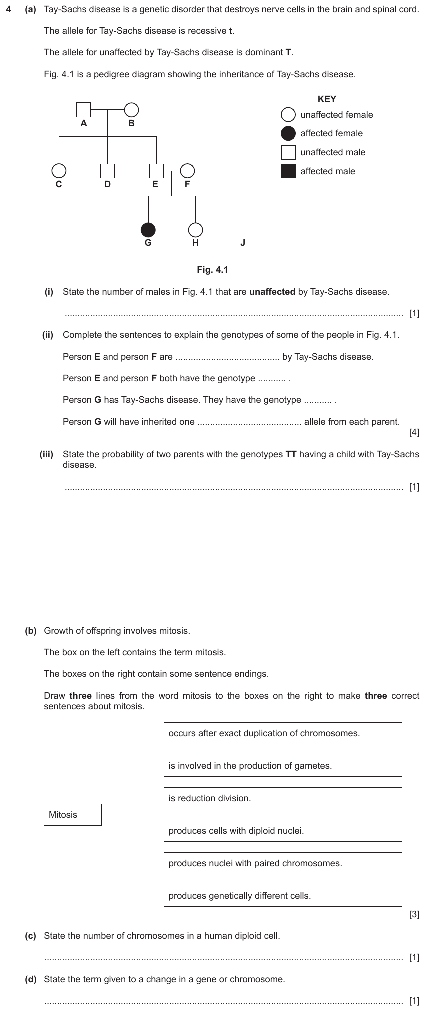 IGCSE 0654 Jun 2022 Paper 41 Question 4 — Chromosomes, genes & DNA