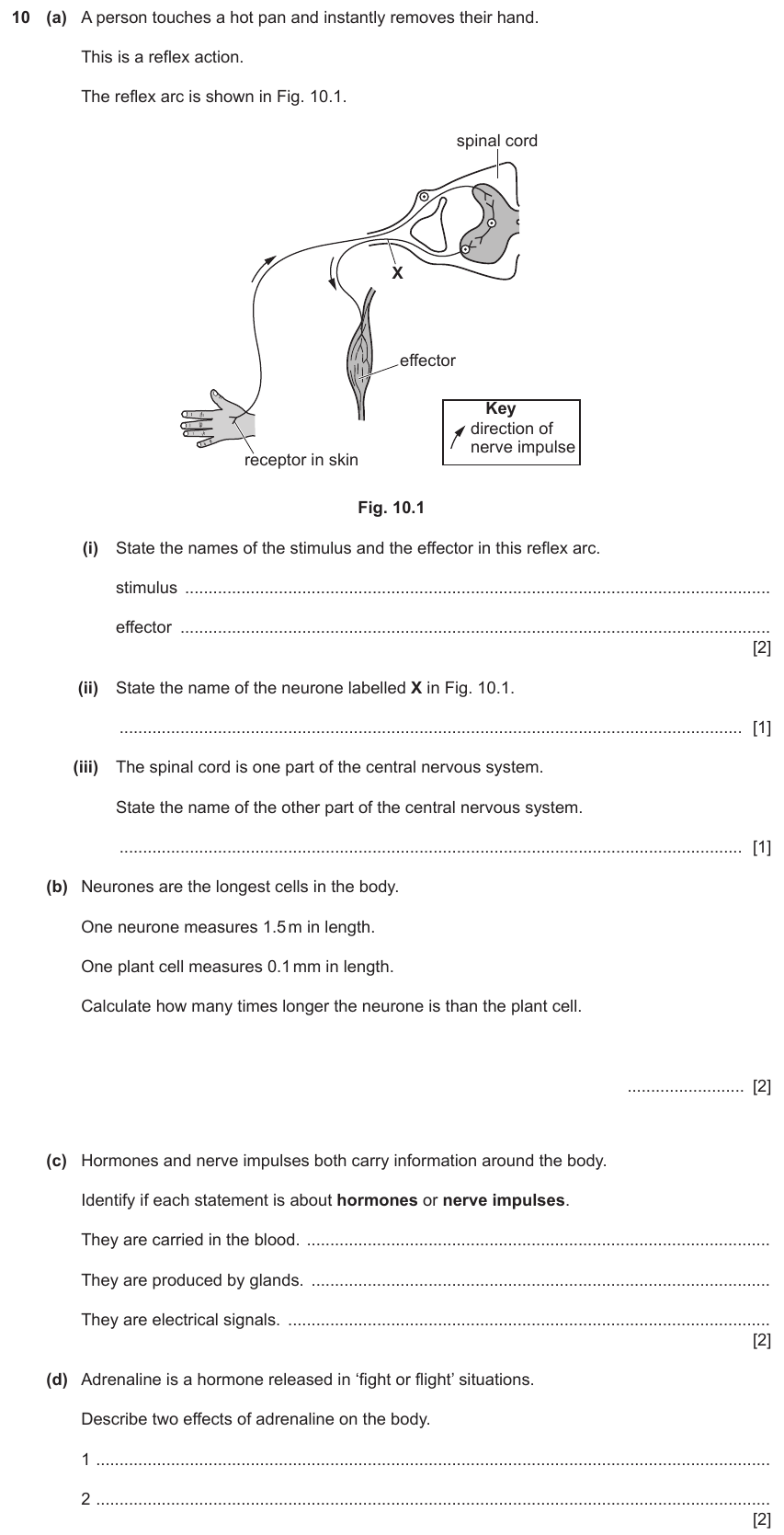 IGCSE 0654 Jun 2023 Paper 31 Question 10 — Nervous system & reflex arc