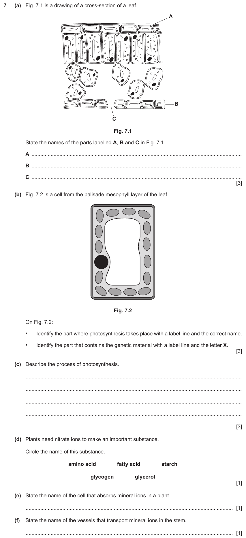 IGCSE 0654 Jun 2023 Paper 31 Question 7 — Mineral needs of plants