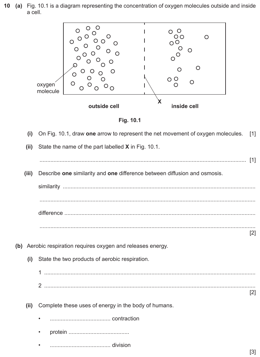 IGCSE 0654 Jun 2023 Paper 32 Question 10 — Aerobic & anaerobic respiration