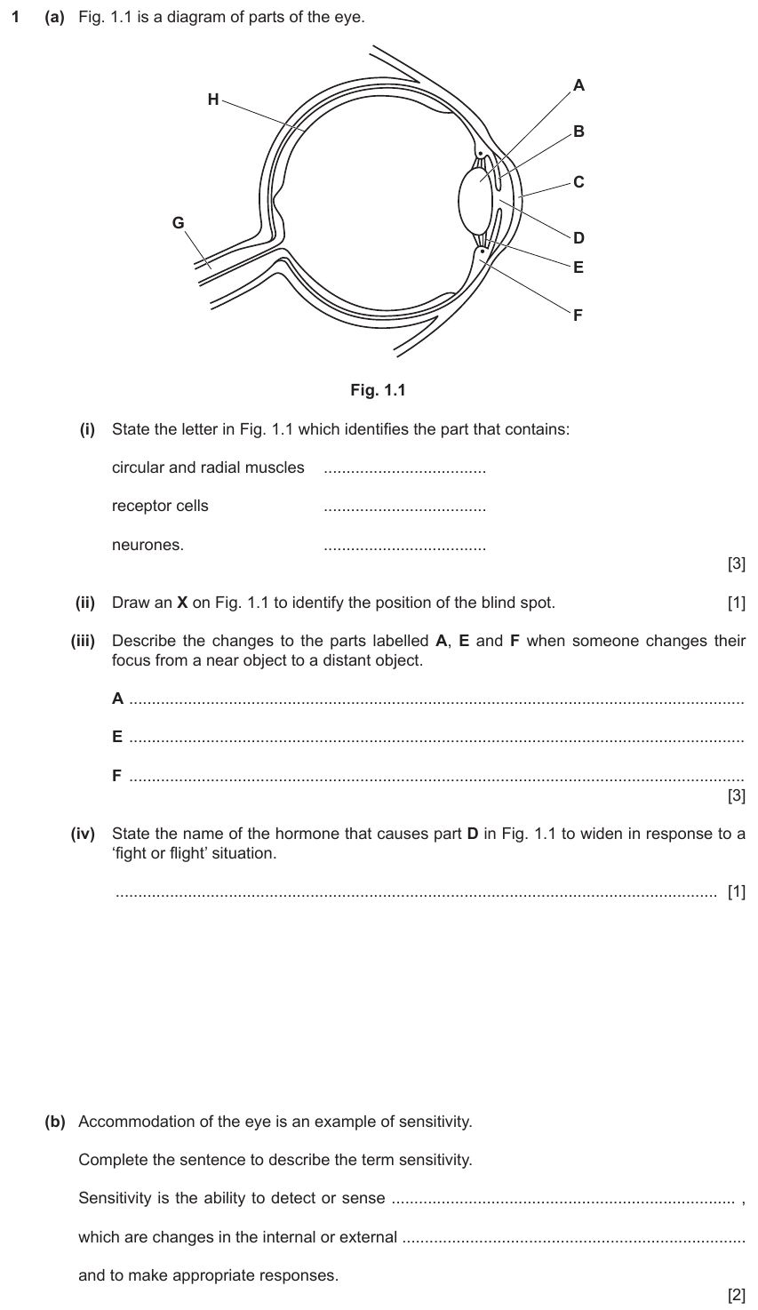 IGCSE 0654 Jun 2023 Paper 42 Question 1 — Nervous system & reflex arc