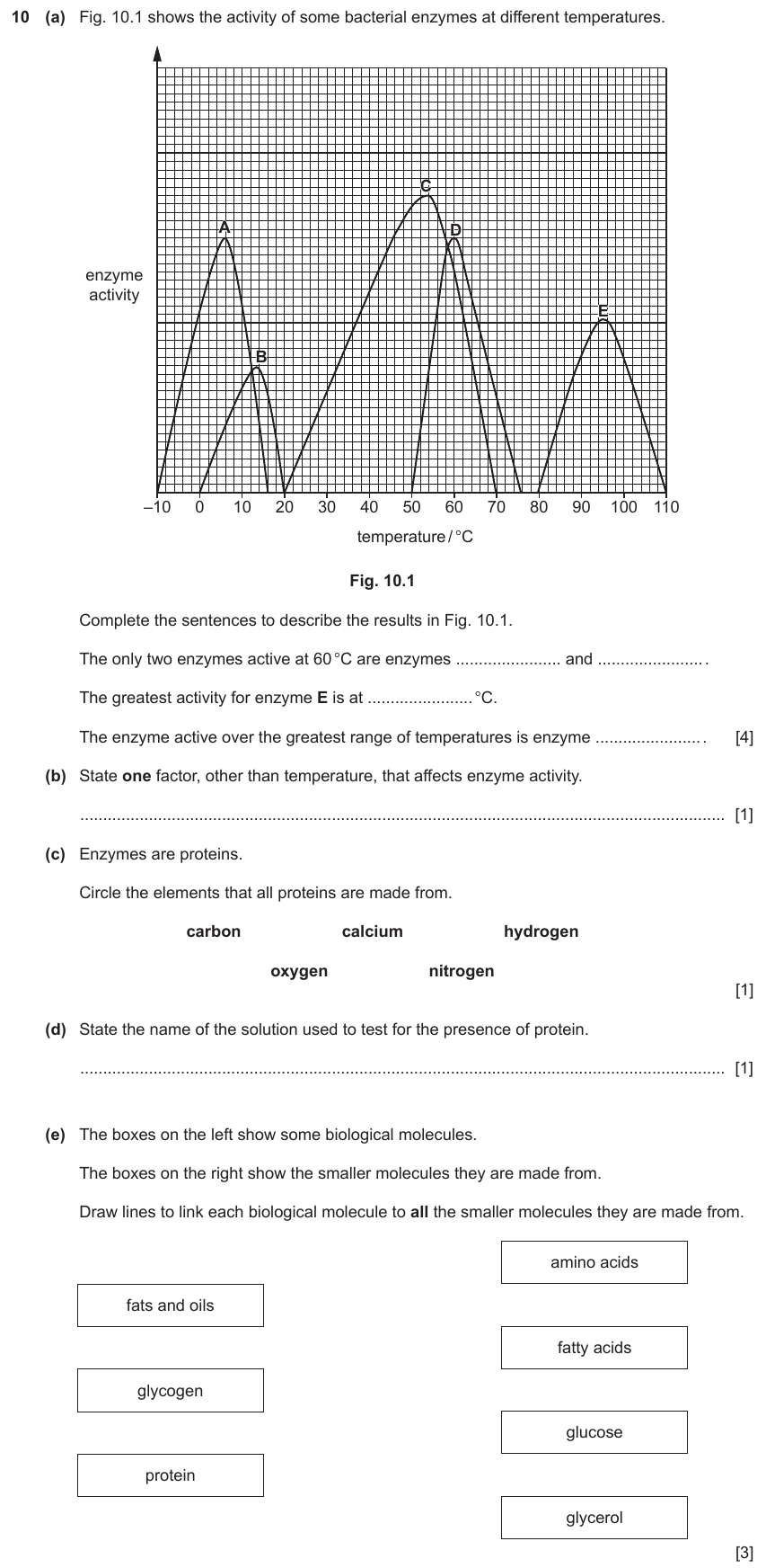 IGCSE 0654 Jun 2024 Paper 31 Question 10 — Carbohydrates, proteins & fats