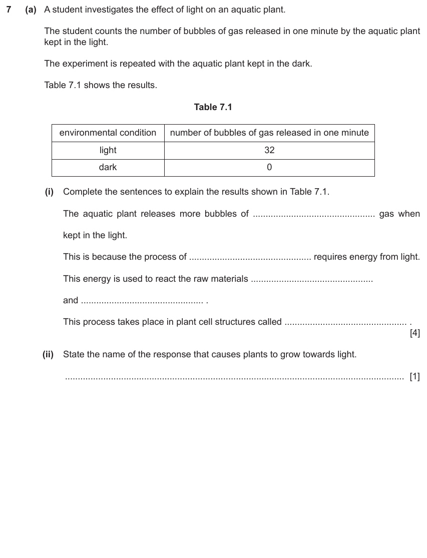 IGCSE 0654 Jun 2024 Paper 32 Question 7 — Photosynthesis