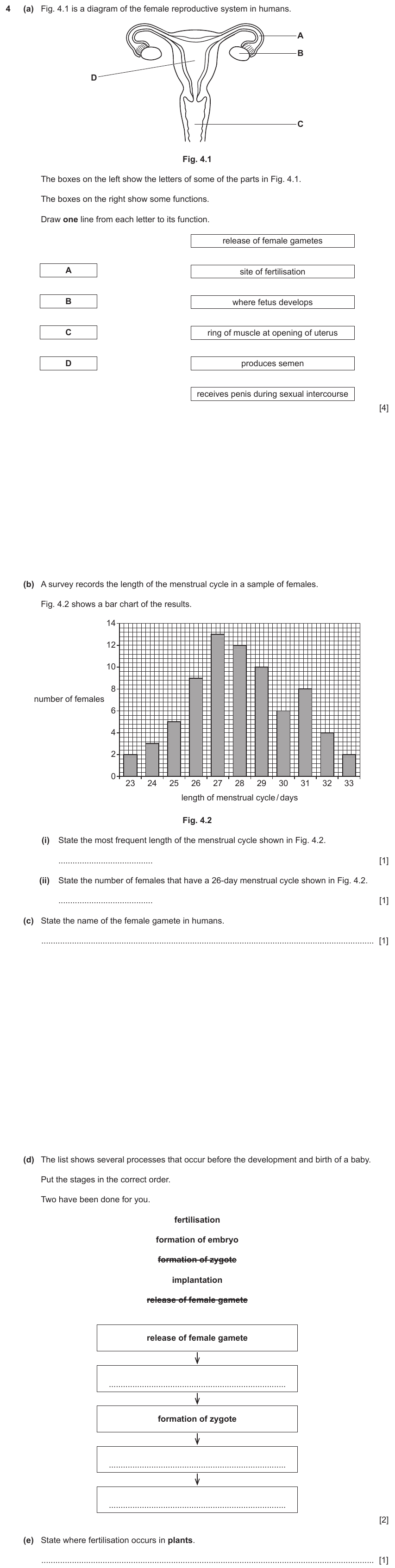 IGCSE 0654 Jun 2024 Paper 33 Question 4 — Human reproduction