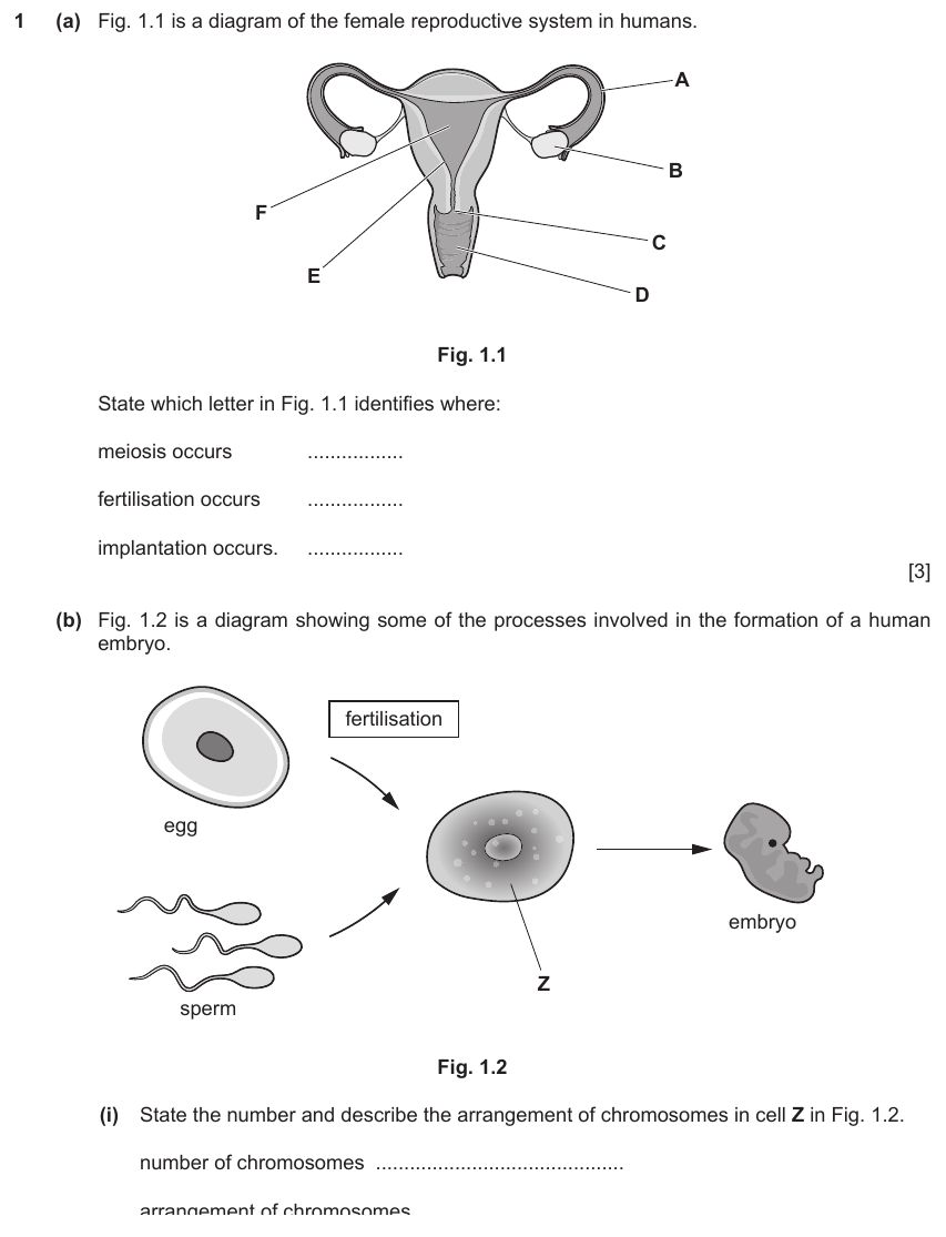IGCSE 0654 Jun 2024 Paper 41 Question 1 — Human reproduction