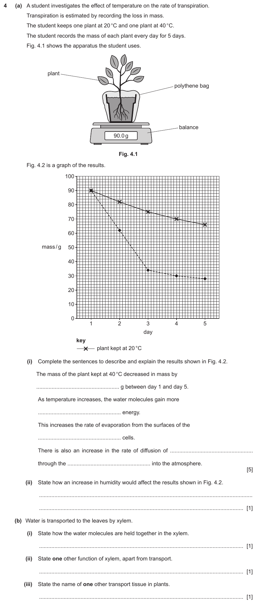 IGCSE 0654 Jun 2024 Paper 41 Question 4 — Xylem & phloem