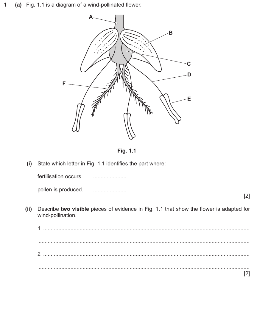 IGCSE 0654 Jun 2024 Paper 42 Question 1 — Asexual & sexual reproduction