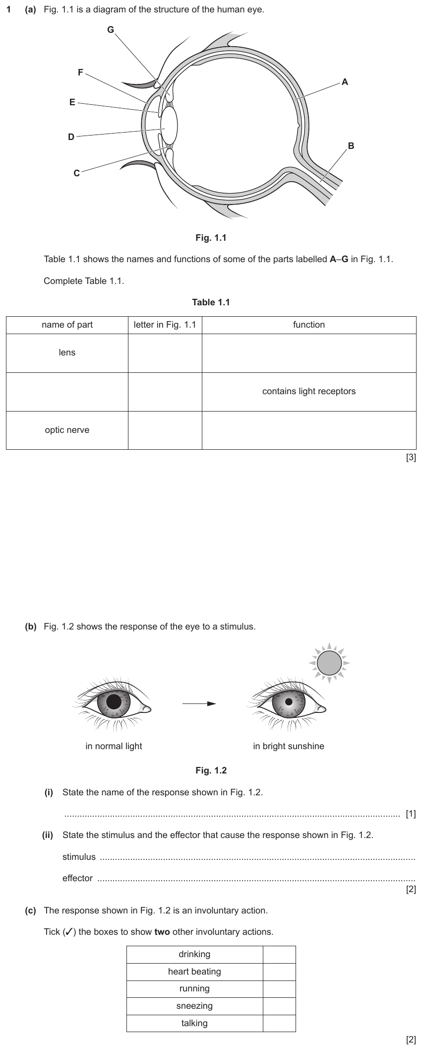 IGCSE 0654 Jun 2024 Paper 43 Question 1 — Nervous system & reflex arc