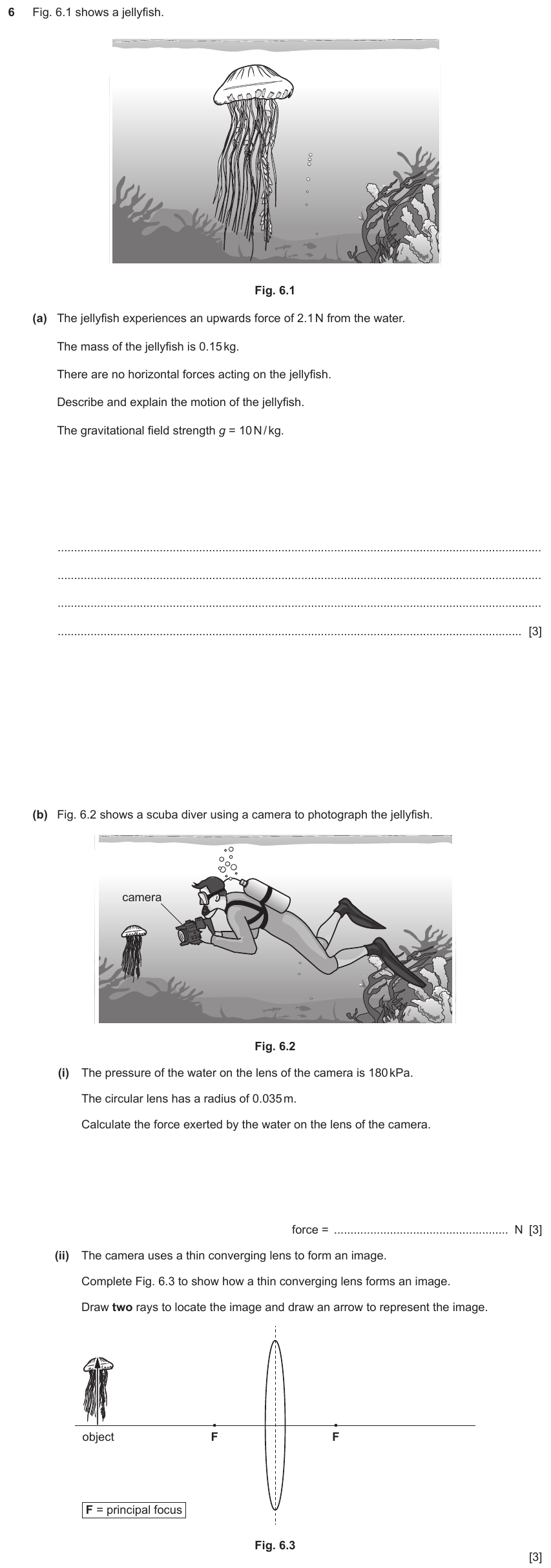 IGCSE 0654 Jun 2024 Paper 43 Question 6 — Lenses
