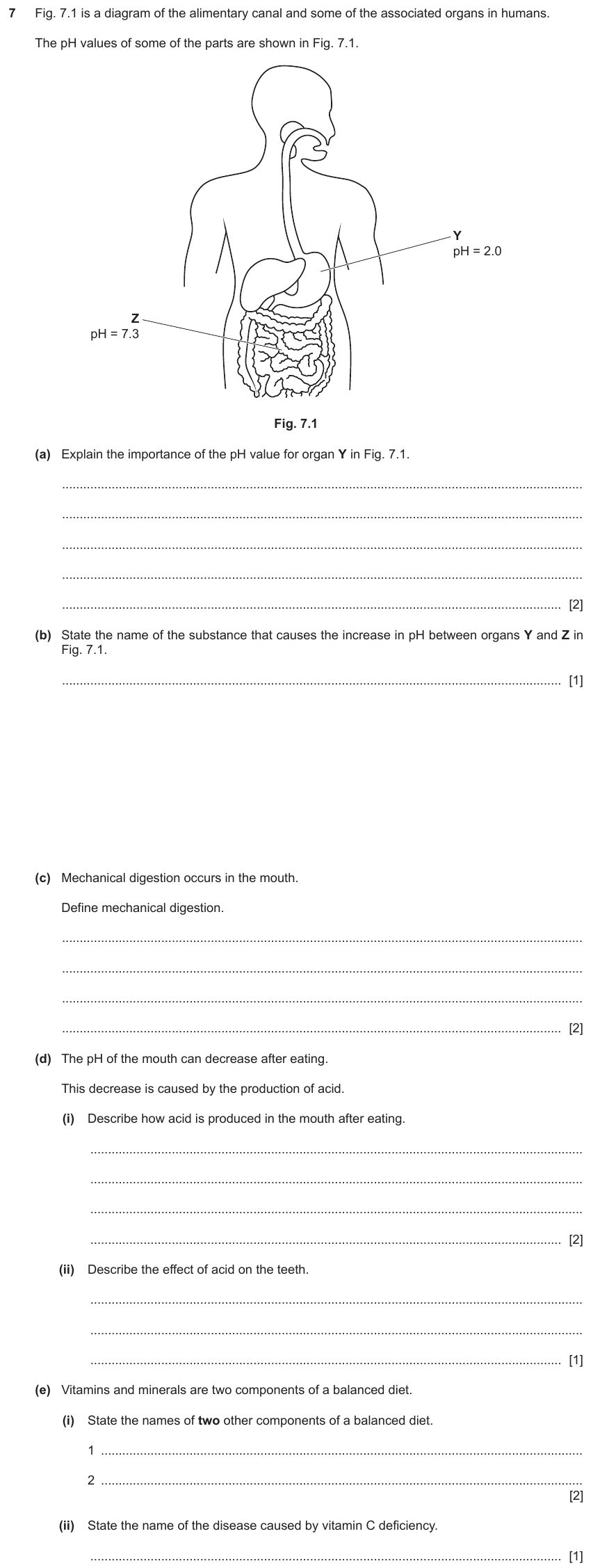 IGCSE 0654 Jun 2024 Paper 43 Question 7 — Balanced diet