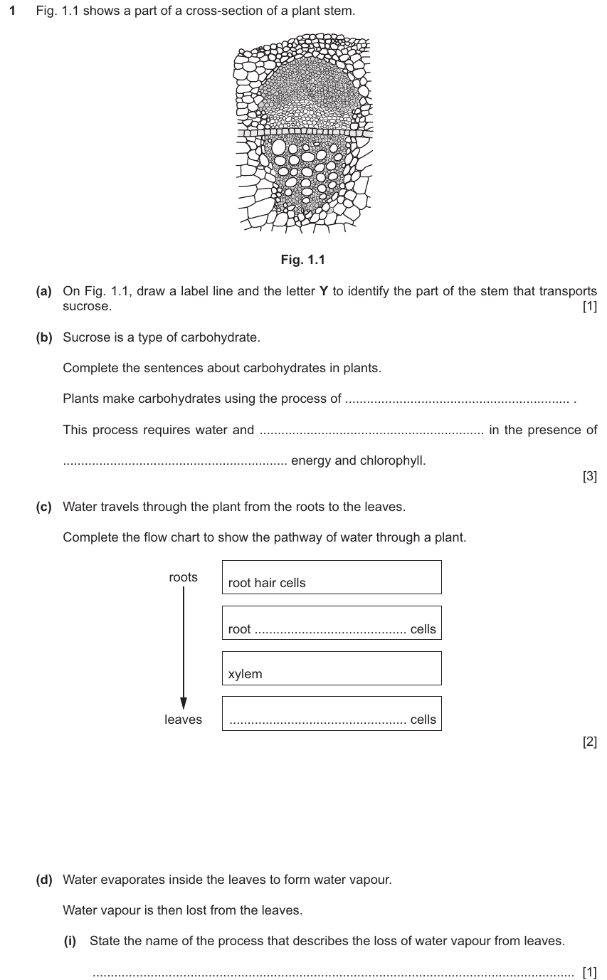IGCSE 0654 Jun 2025 Paper 31 Question 1 — Carbohydrates, proteins & fats