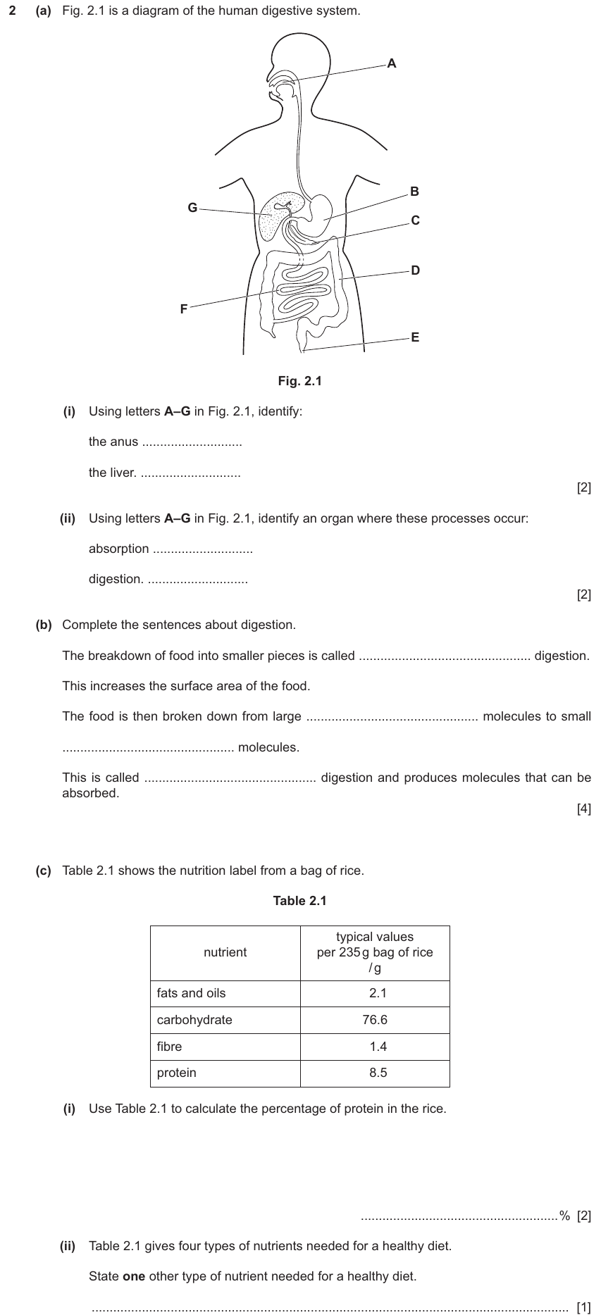 IGCSE 0654 Jun 2025 Paper 31 Question 2 — Digestive system & digestion