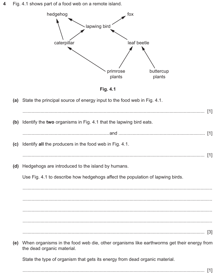 IGCSE 0654 Jun 2025 Paper 31 Question 4 — Food chains, webs & energy flow