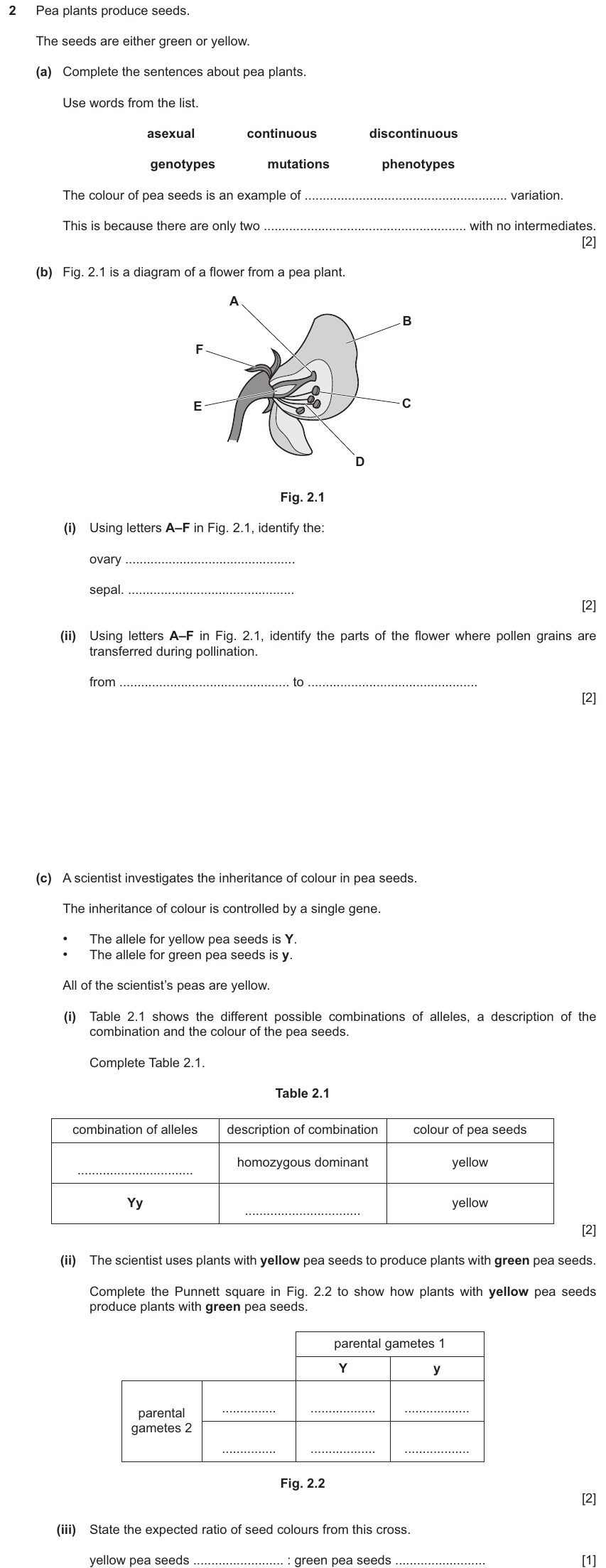 IGCSE 0654 Jun 2025 Paper 32 Question 2 — Reproduction in flowering plants