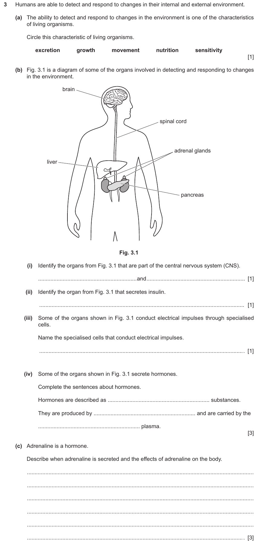 IGCSE 0654 Jun 2025 Paper 33 Question 3 — Hormones
