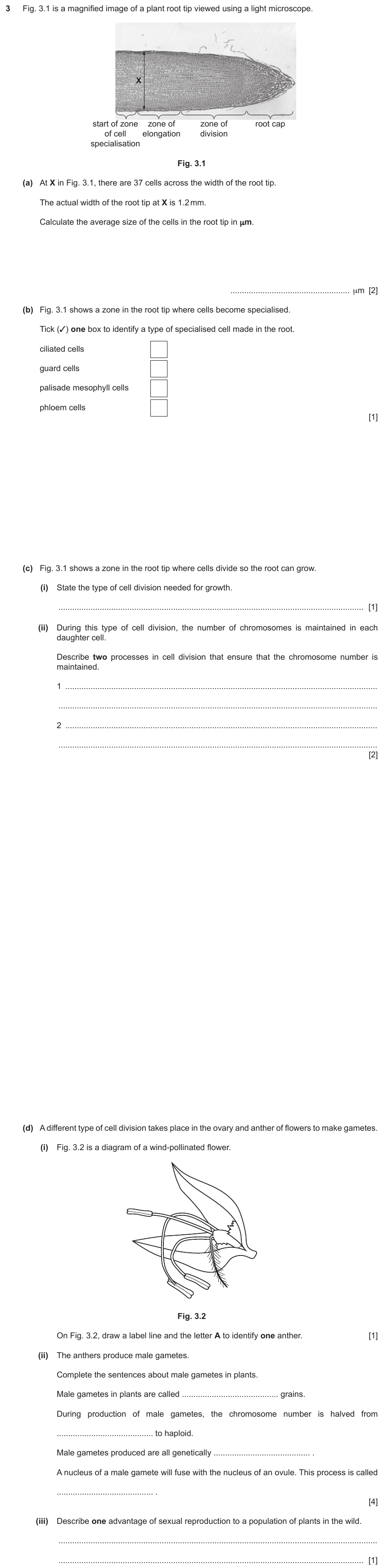 IGCSE 0654 Jun 2025 Paper 41 Question 3 — Asexual & sexual reproduction