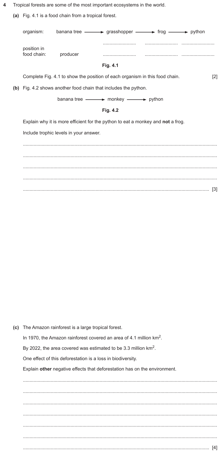 IGCSE 0654 Jun 2025 Paper 41 Question 4 — Food chains, webs & energy flow