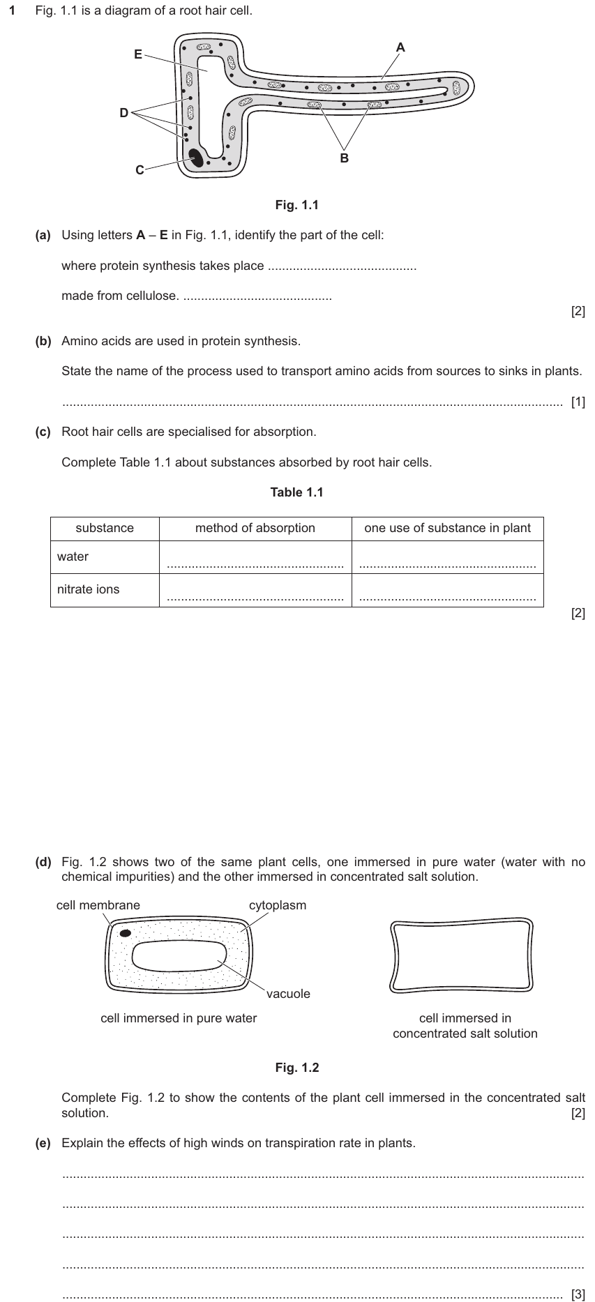IGCSE 0654 Jun 2025 Paper 42 Question 1 — Specialised cells, tissues & organs