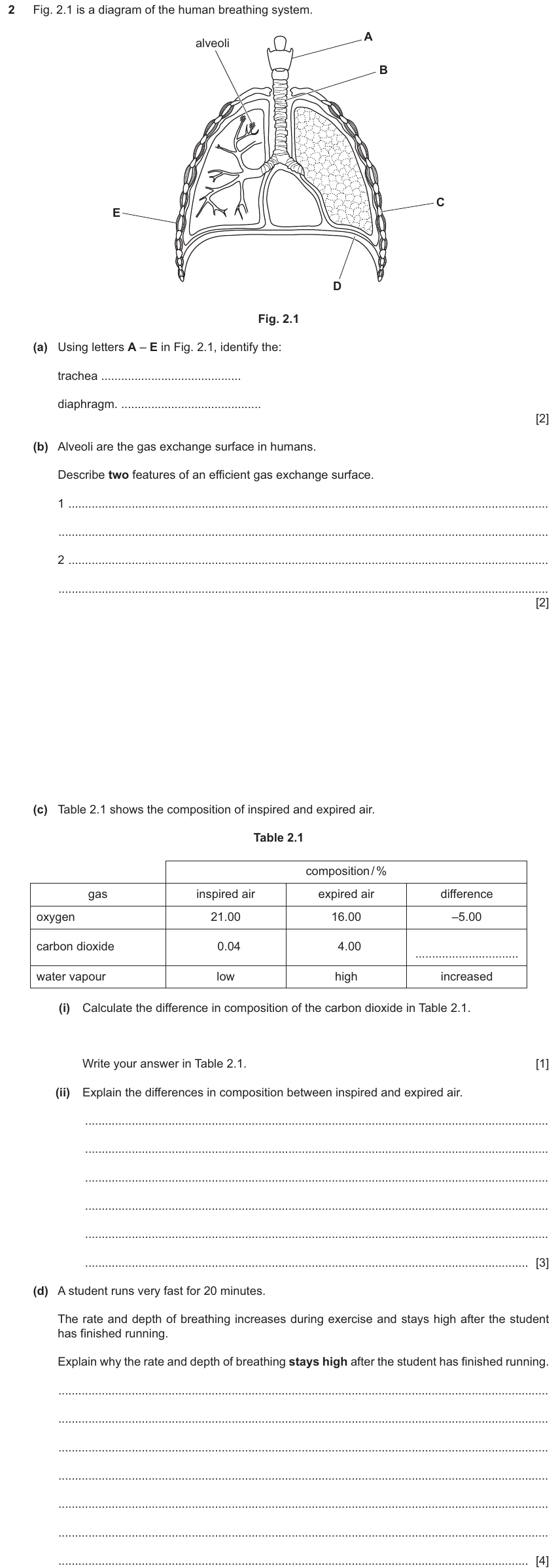 IGCSE 0654 Jun 2025 Paper 42 Question 2 — Gas exchange in humans