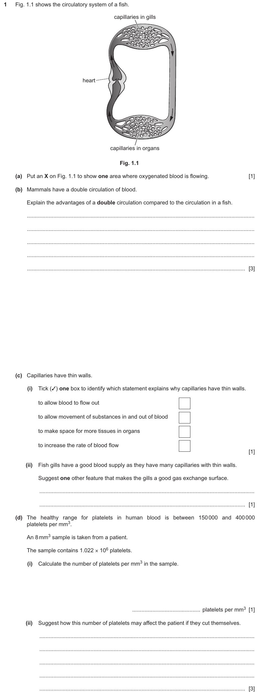 IGCSE 0654 Jun 2025 Paper 43 Question 1 — Blood