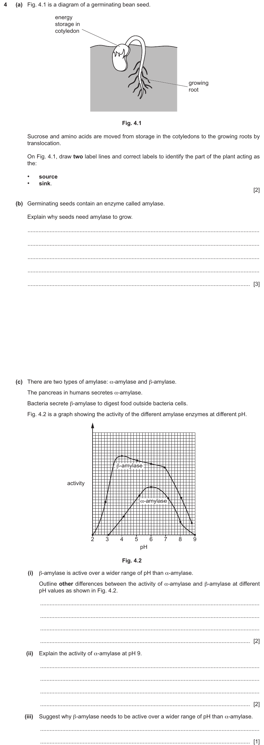 IGCSE 0654 Jun 2025 Paper 43 Question 4 — Digestive system & digestion