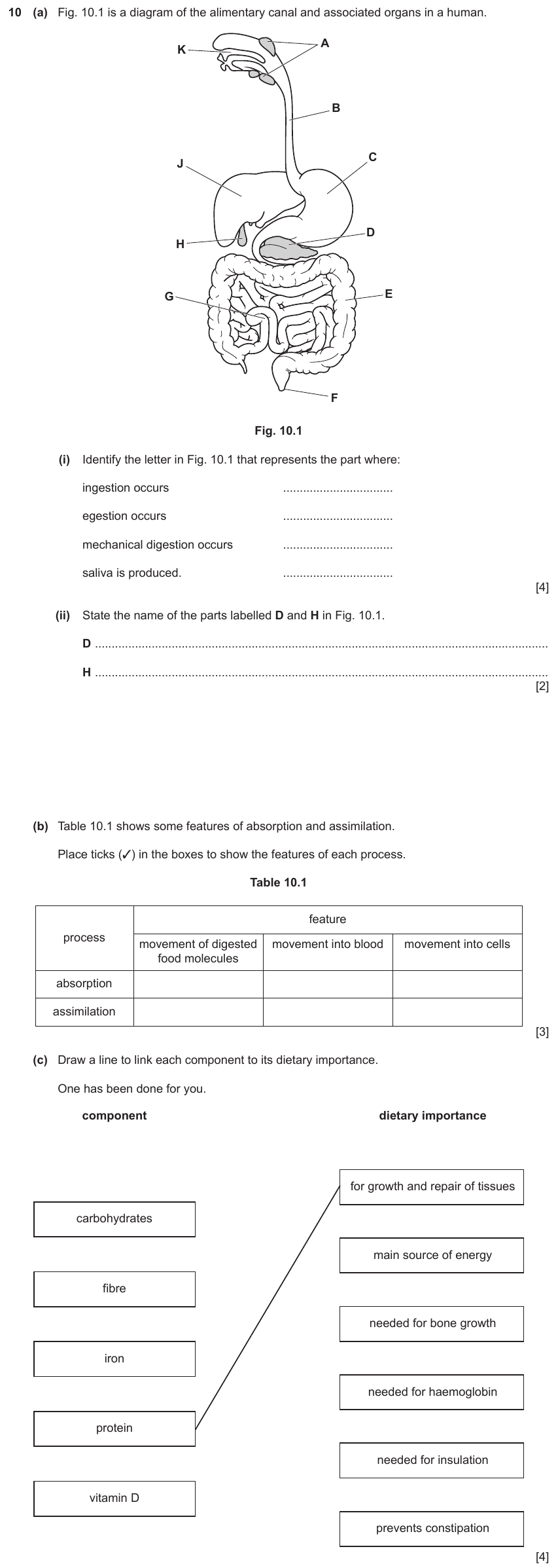 IGCSE 0654 Nov 2022 Paper 33 Question 10 — Absorption