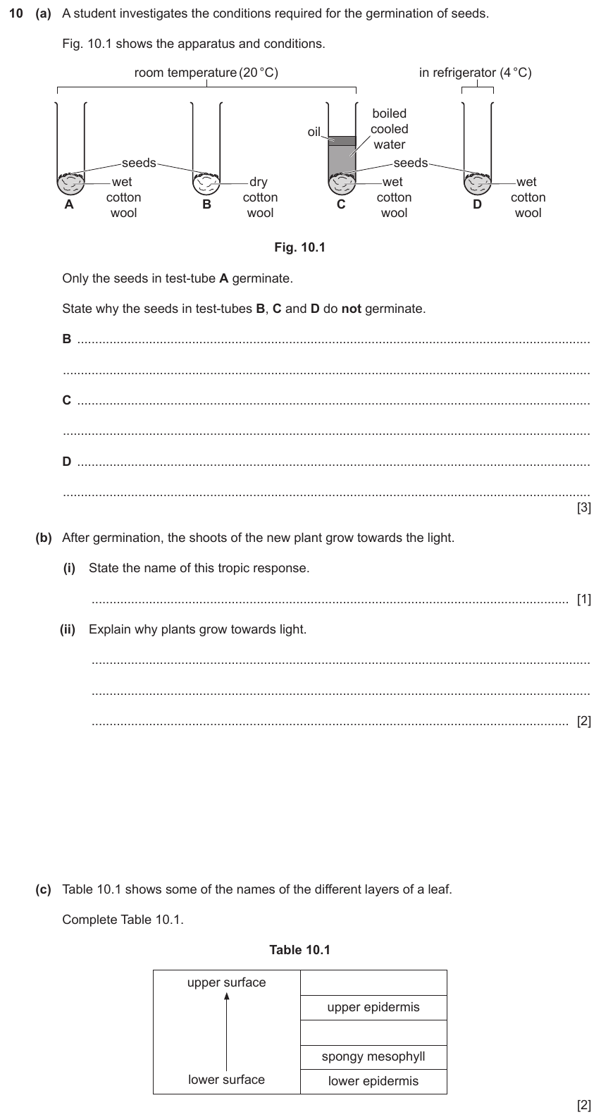 IGCSE 0654 Nov 2023 Paper 31 Question 10 — Leaf structure