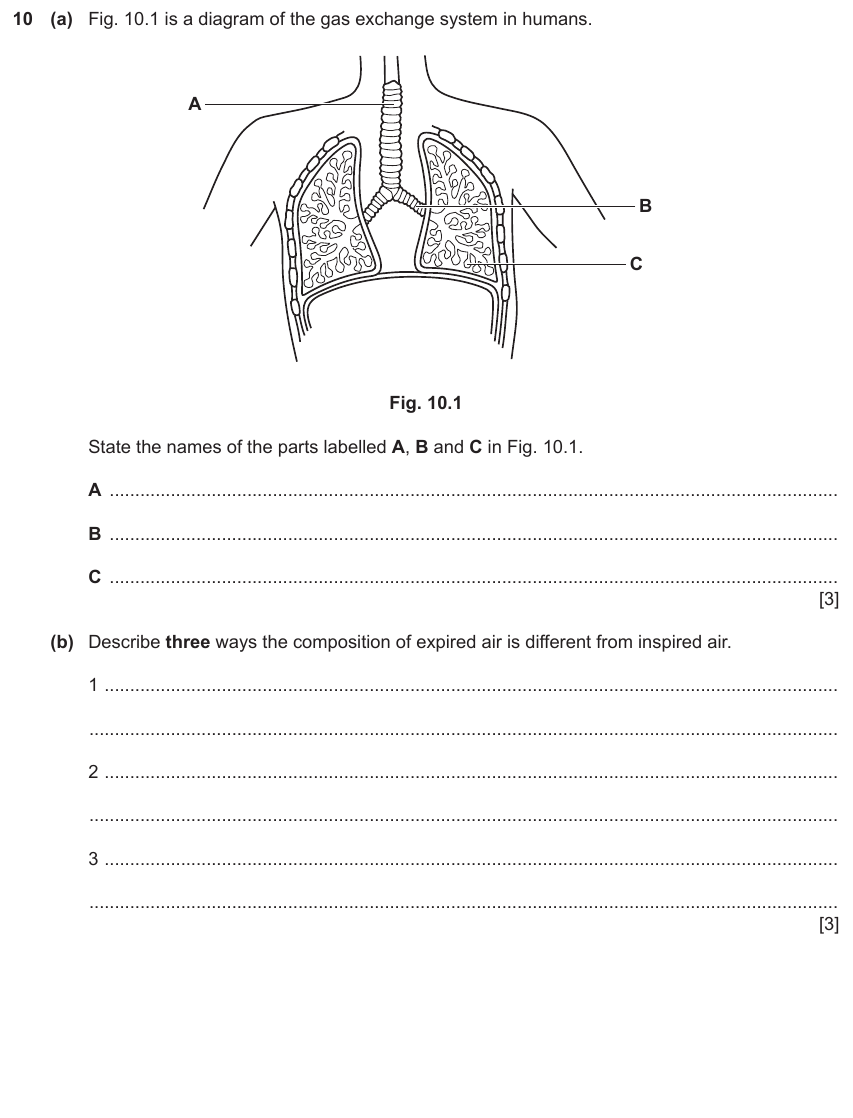 IGCSE 0654 Nov 2023 Paper 32 Question 10 — Gas exchange in humans