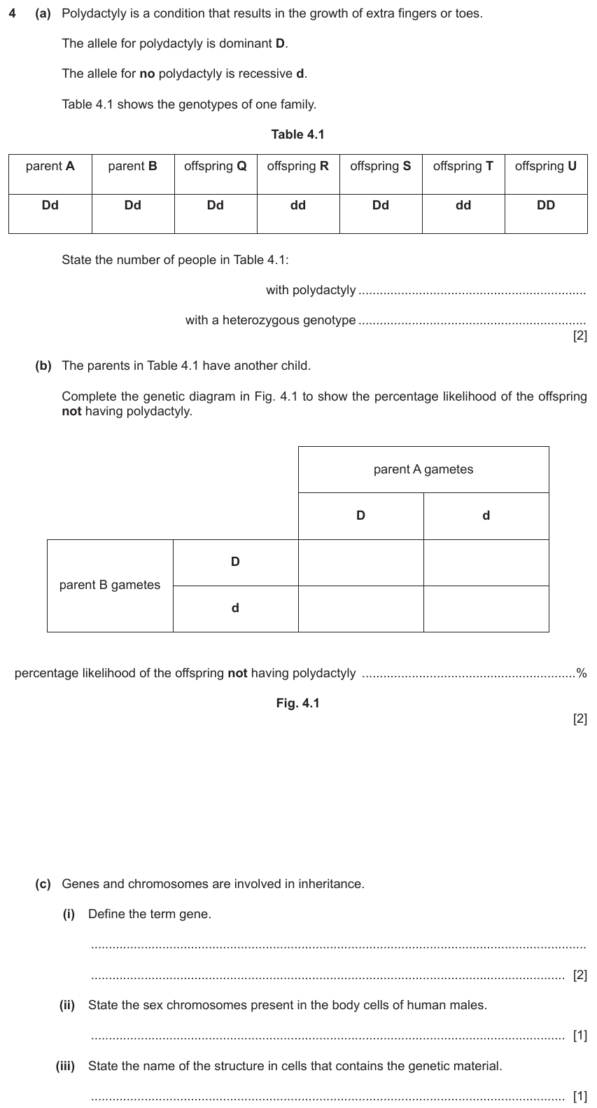 IGCSE 0654 Nov 2023 Paper 32 Question 4 — Chromosomes, genes & DNA