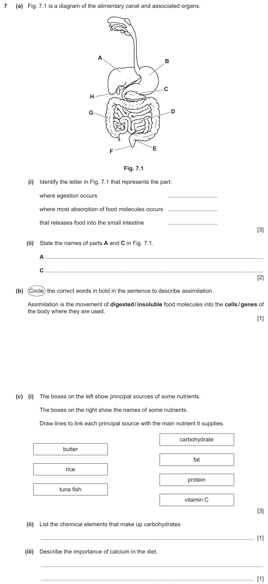IGCSE 0654 Nov 2023 Paper 32 Question 7 — Absorption