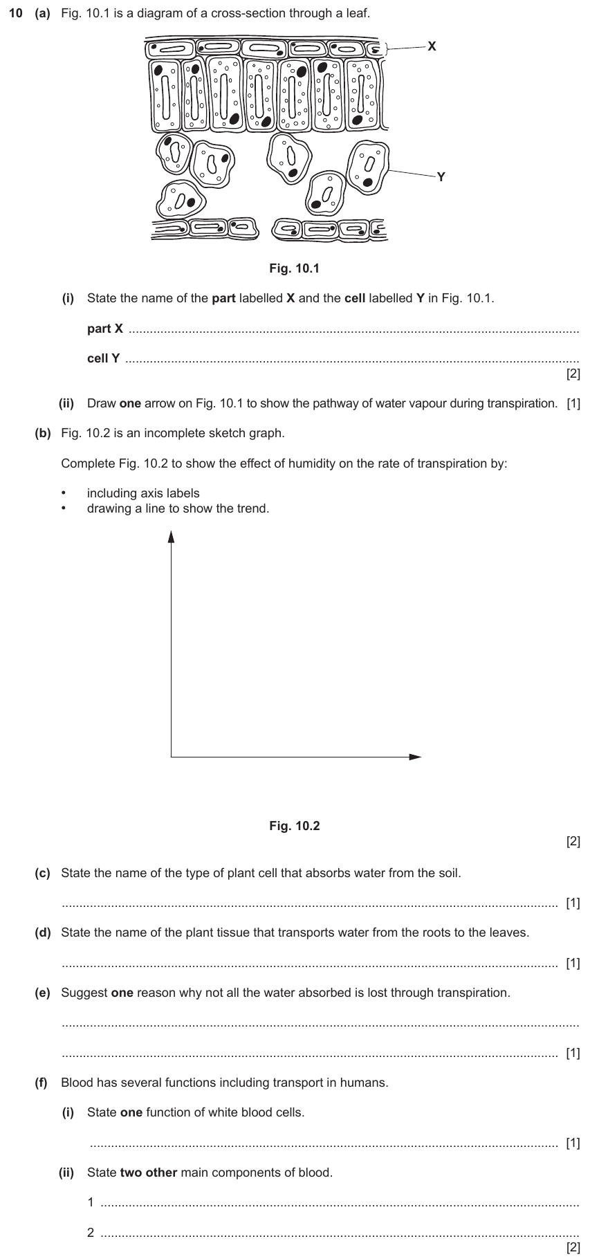 IGCSE 0654 Nov 2023 Paper 33 Question 10 — Transpiration