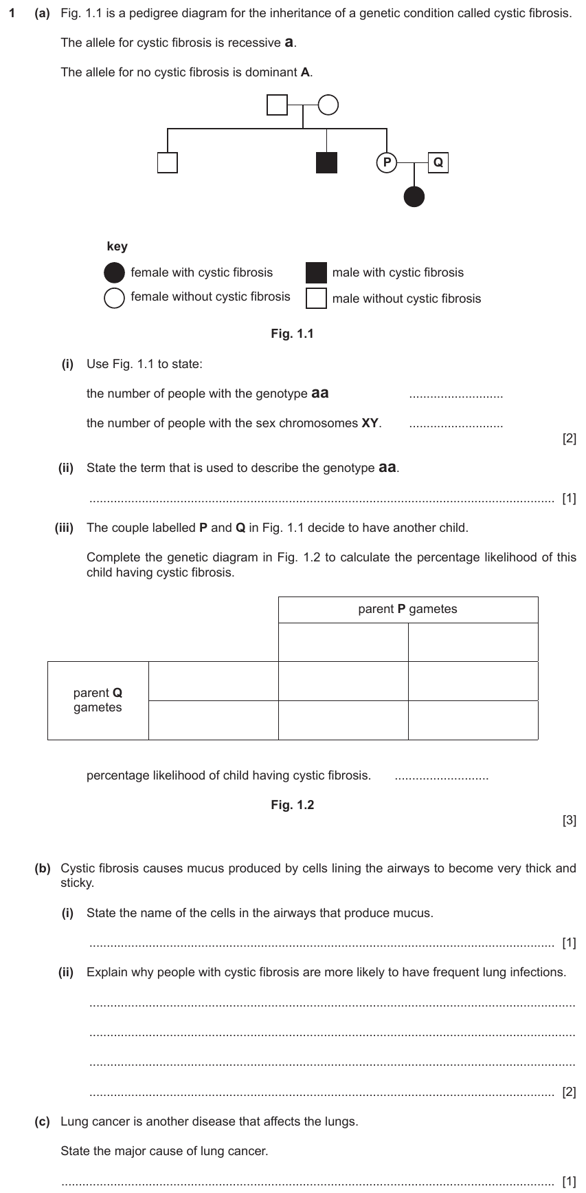IGCSE 0654 Nov 2023 Paper 41 Question 1 — Chromosomes, genes & DNA
