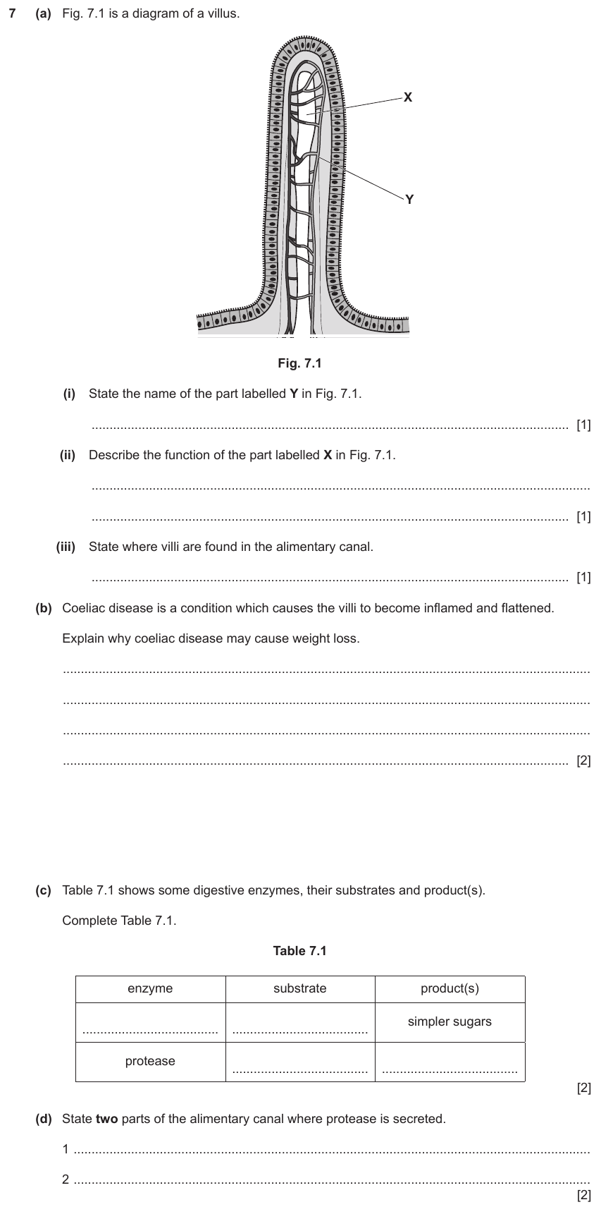 IGCSE 0654 Nov 2023 Paper 42 Question 7 — Enzyme action