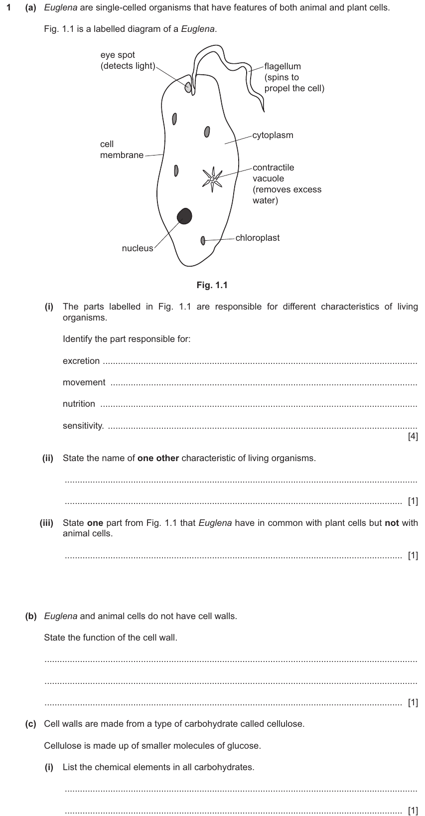 IGCSE 0654 Nov 2024 Paper 31 Question 1 — Animal & plant cell structure