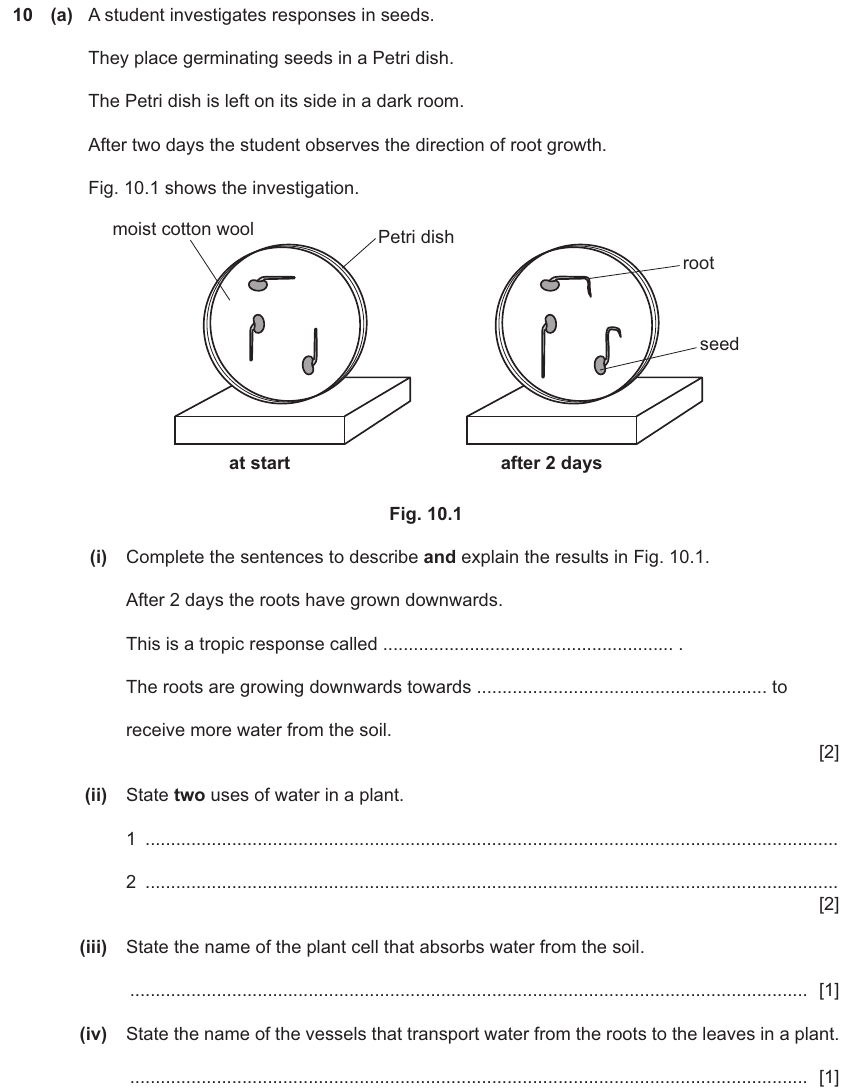 IGCSE 0654 Nov 2024 Paper 31 Question 10 — Plant tropisms