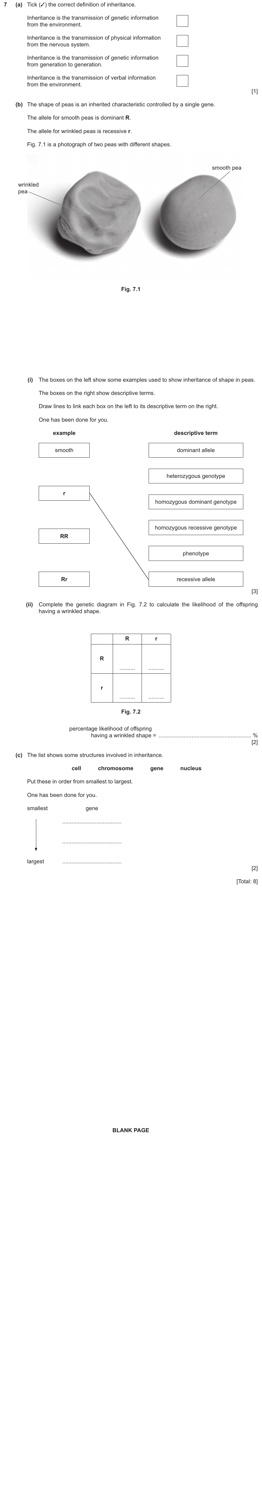 IGCSE 0654 Nov 2024 Paper 31 Question 7 — Monohybrid inheritance