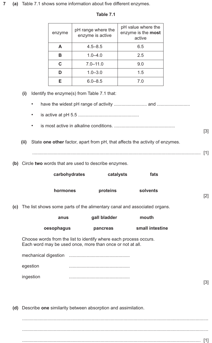 IGCSE 0654 Nov 2024 Paper 32 Question 7 — Enzyme action