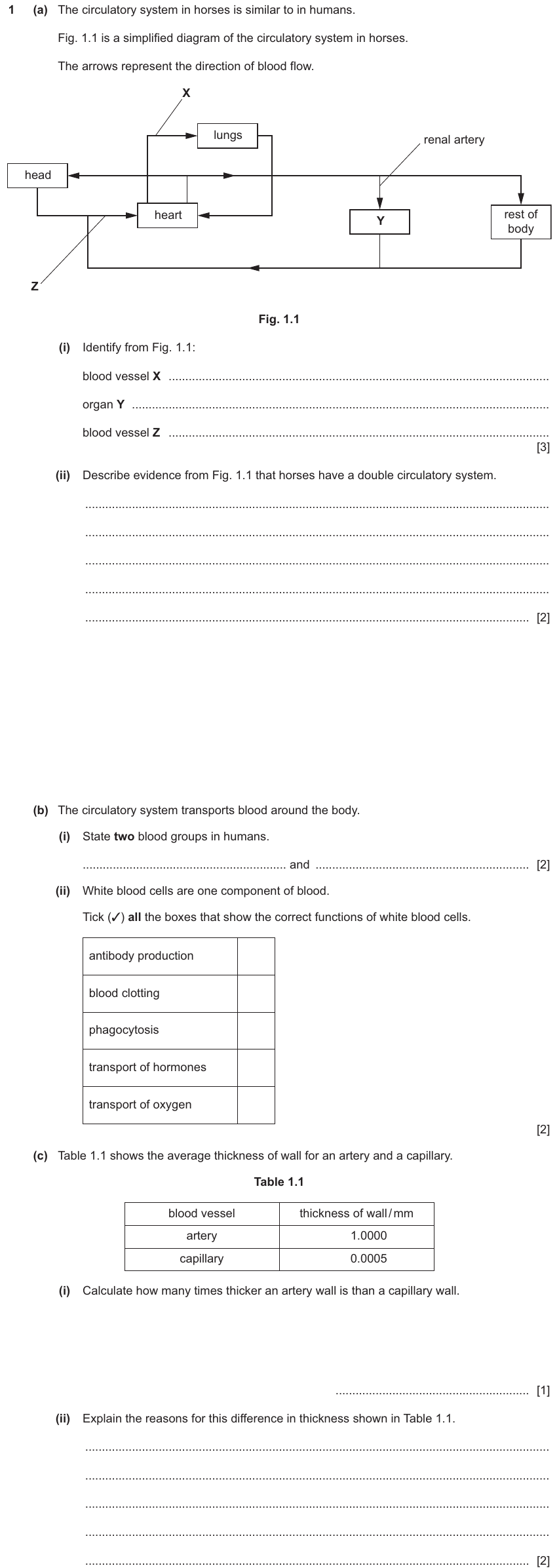 IGCSE 0654 Nov 2024 Paper 42 Question 1 — Blood vessels