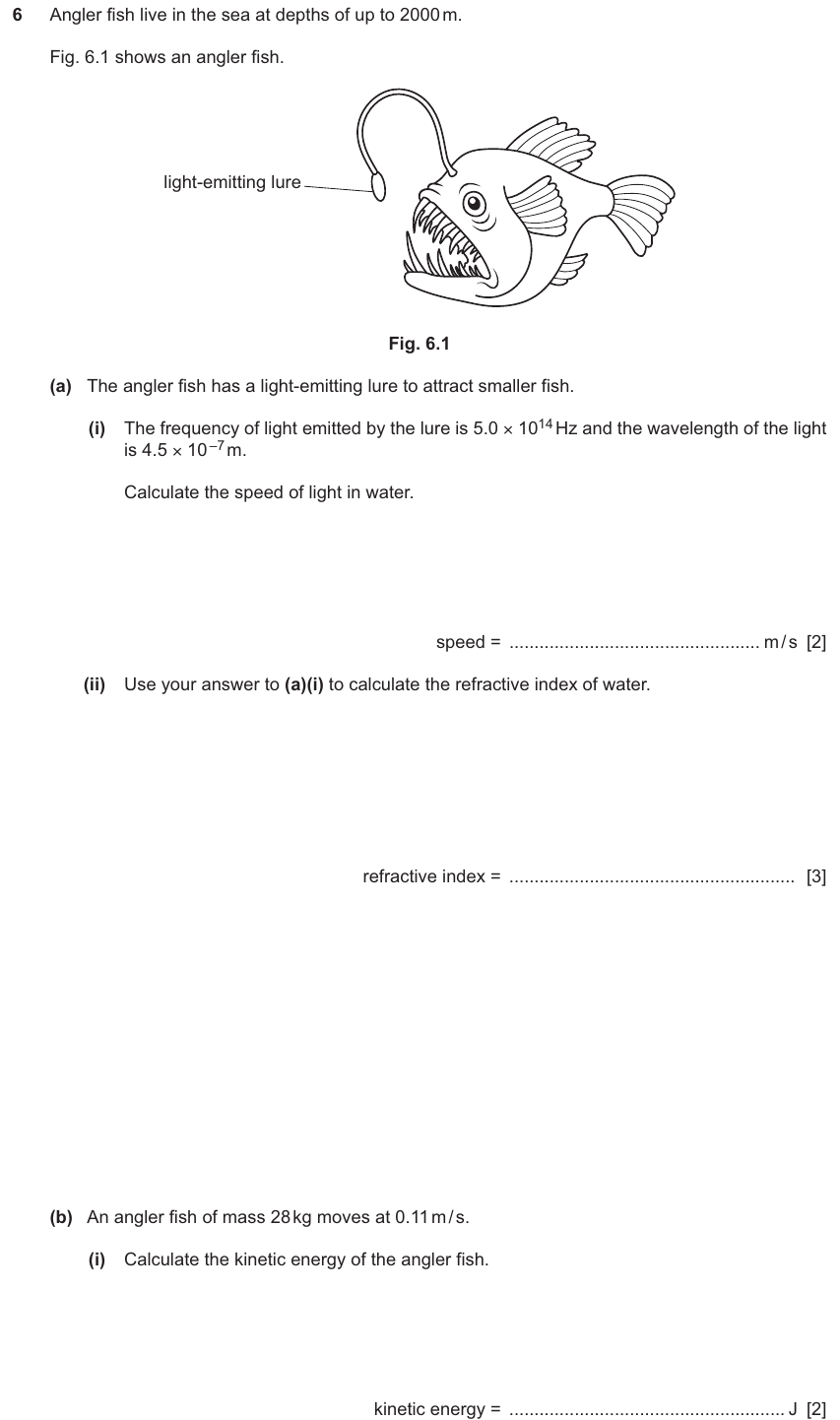IGCSE 0654 Nov 2024 Paper 42 Question 6 — Speed, velocity & acceleration