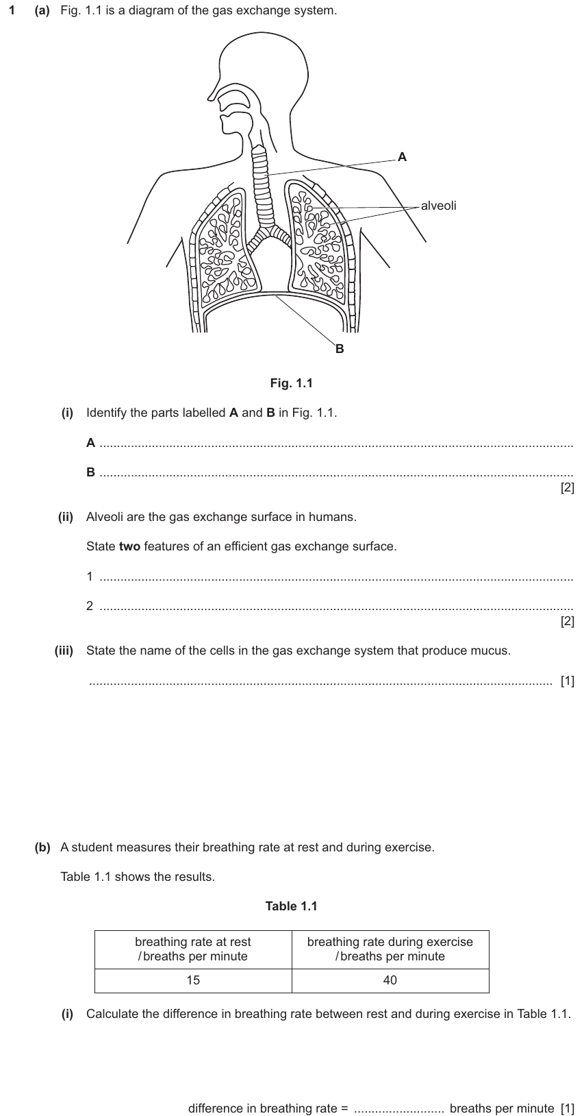 IGCSE 0654 Nov 2024 Paper 43 Question 1 — Gas exchange in humans