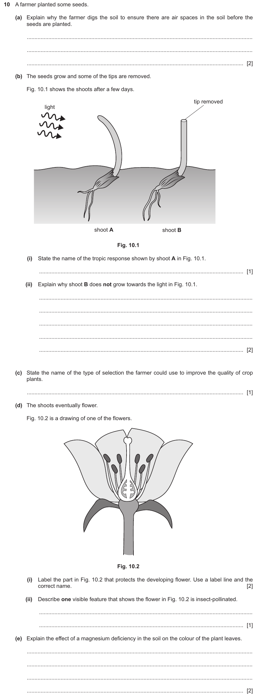 IGCSE 0654 Nov 2024 Paper 43 Question 10 — Reproduction in flowering plants
