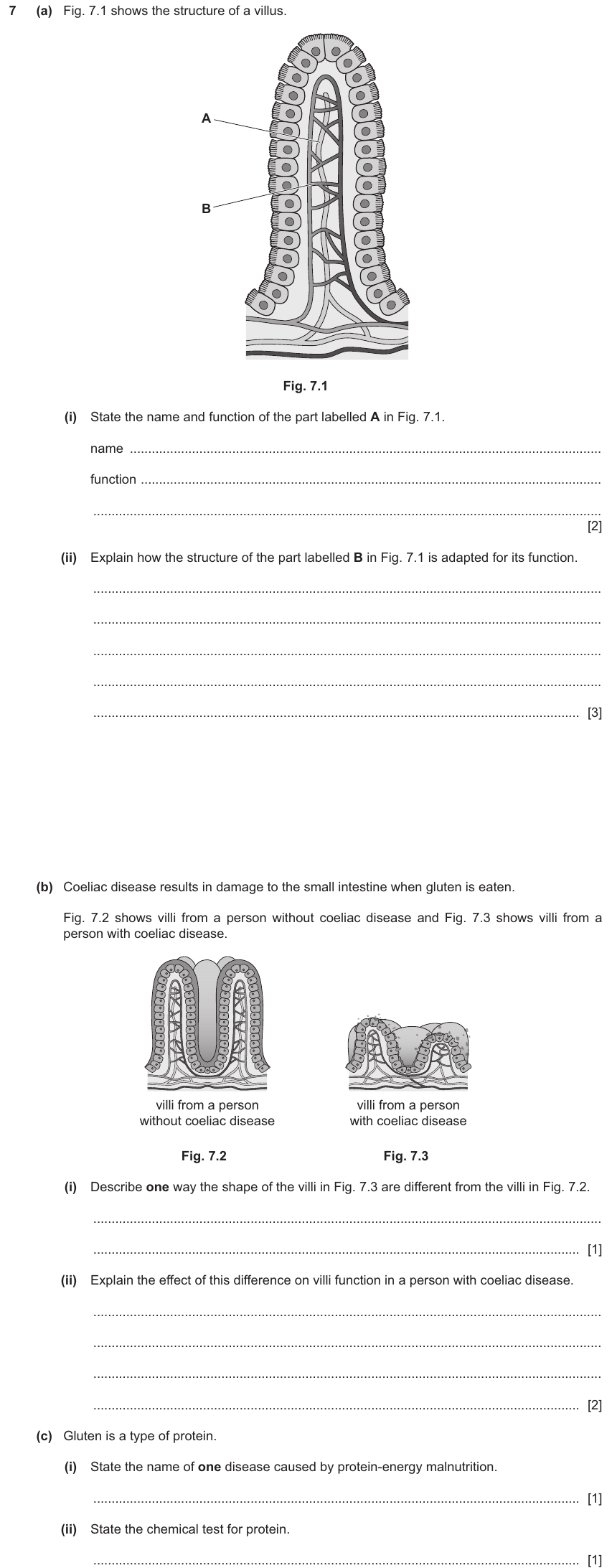 IGCSE 0654 Nov 2024 Paper 43 Question 7 — Absorption