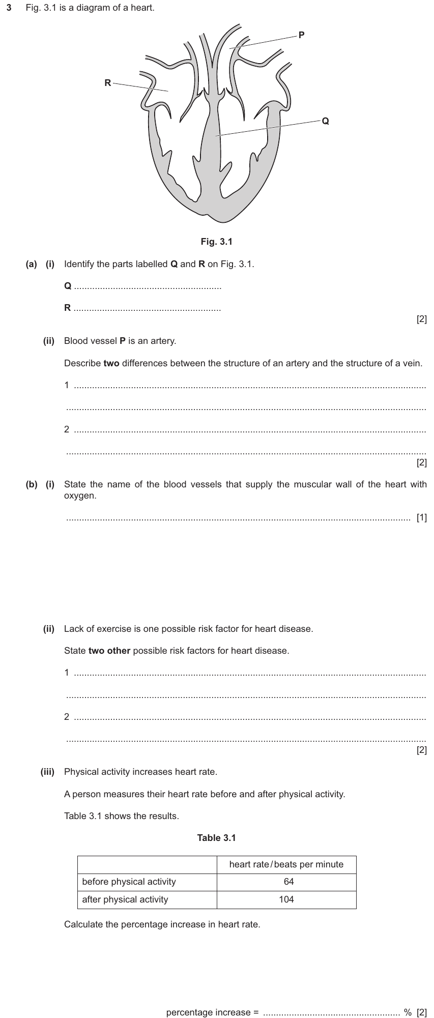 IGCSE 0654 Nov 2025 Paper 31 Question 3 — Xylem & phloem