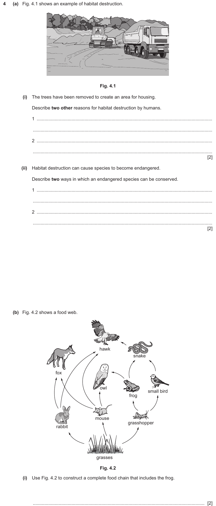 IGCSE 0654 Nov 2025 Paper 31 Question 4 — Food chains, webs & energy flow