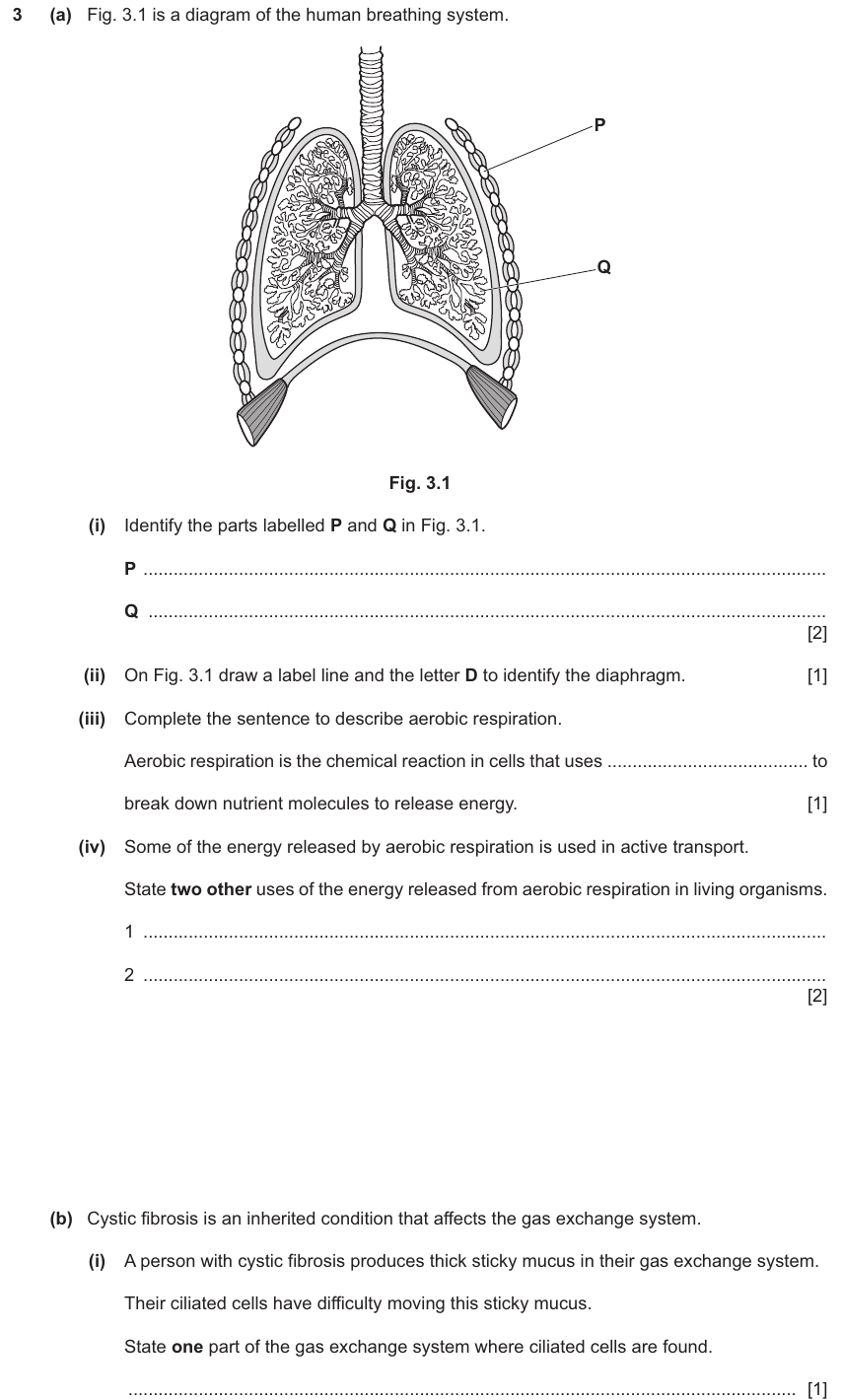 IGCSE 0654 Nov 2025 Paper 32 Question 3 — Monohybrid inheritance
