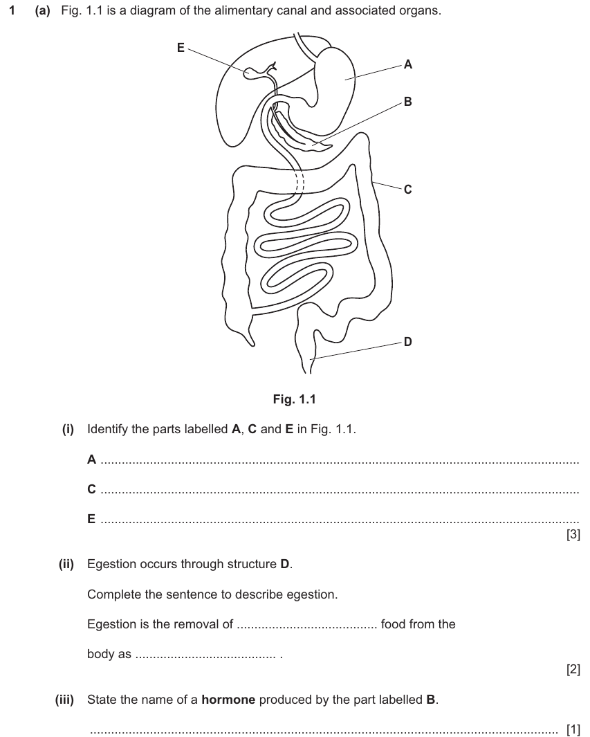 IGCSE 0654 Nov 2025 Paper 33 Question 1 — Osmosis