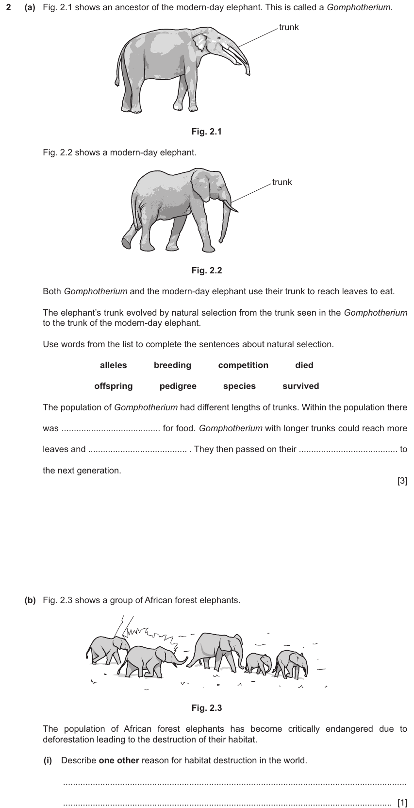 IGCSE 0654 Nov 2025 Paper 33 Question 2 — Populations & ecosystems