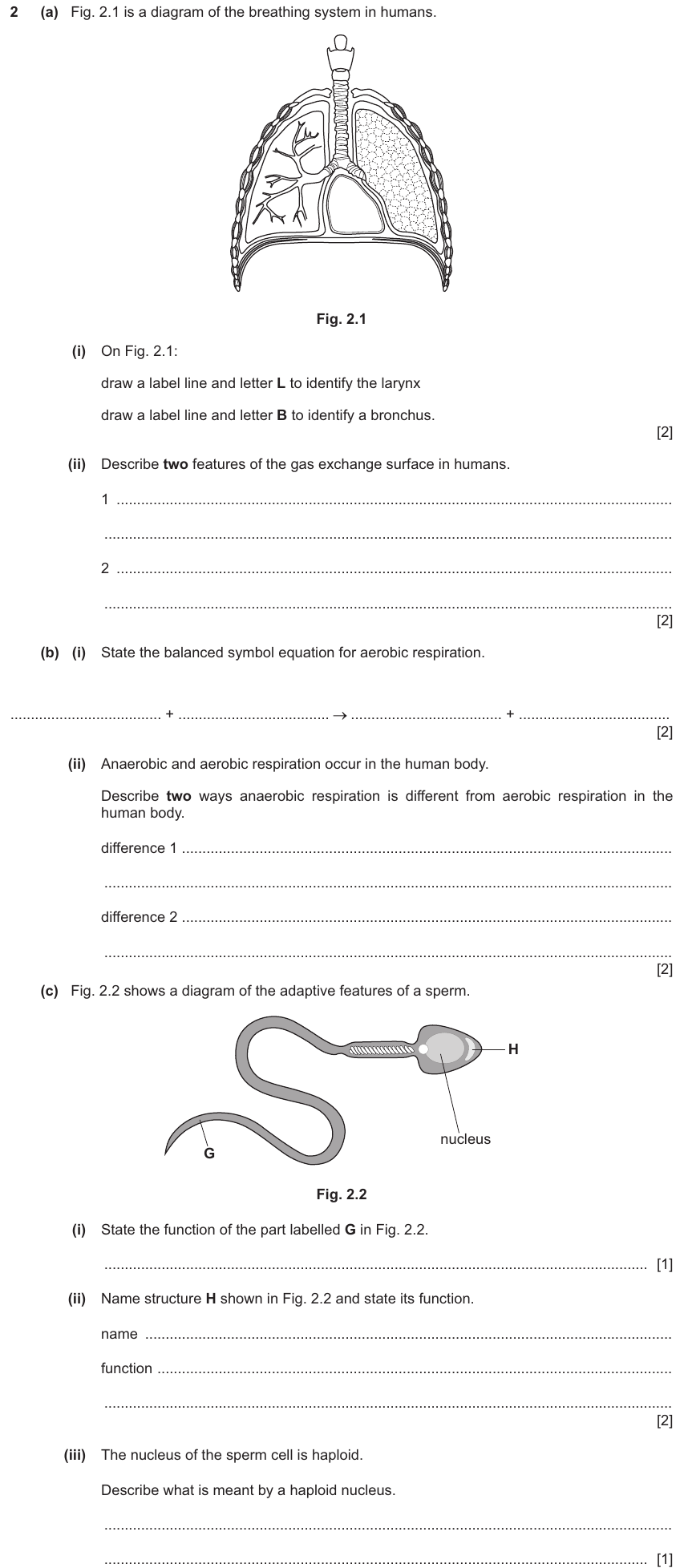 IGCSE 0654 Nov 2025 Paper 41 Question 2 — Aerobic & anaerobic respiration